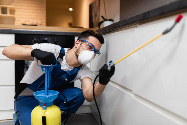 Best Commercial Pest Control Services  in Norlina, NC