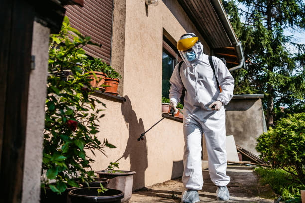 Best Affordable Pest Control Services  in Norlina, NC