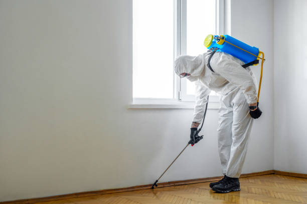 Best Local Pest Control Services  in Norlina, NC