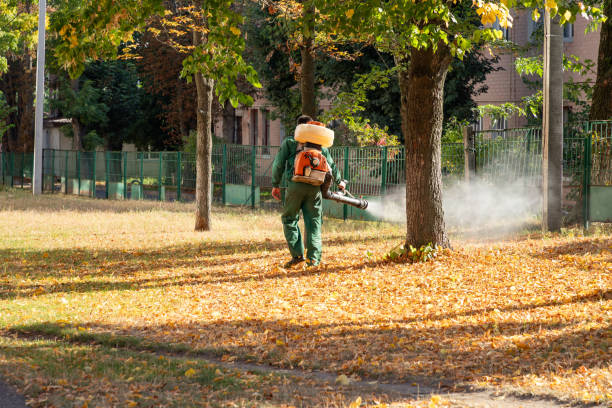 Best Bed Bug Extermination  in Norlina, NC