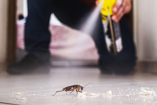 Best Best Pest Control Companies  in Norlina, NC