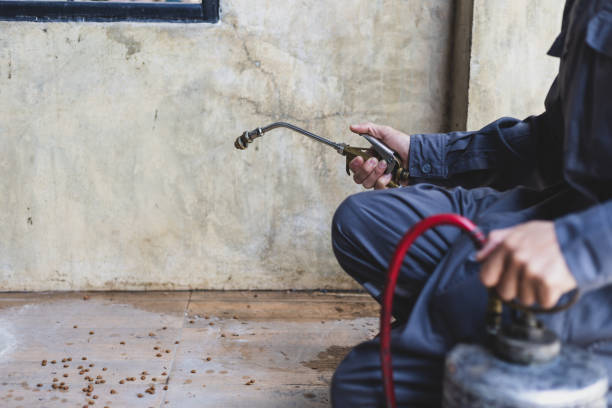 Best Best Pest Control Companies  in Norlina, NC